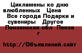 Цикламены ко дню влюбленных › Цена ­ 180 - Все города Подарки и сувениры » Другое   . Пензенская обл.,Пенза г.